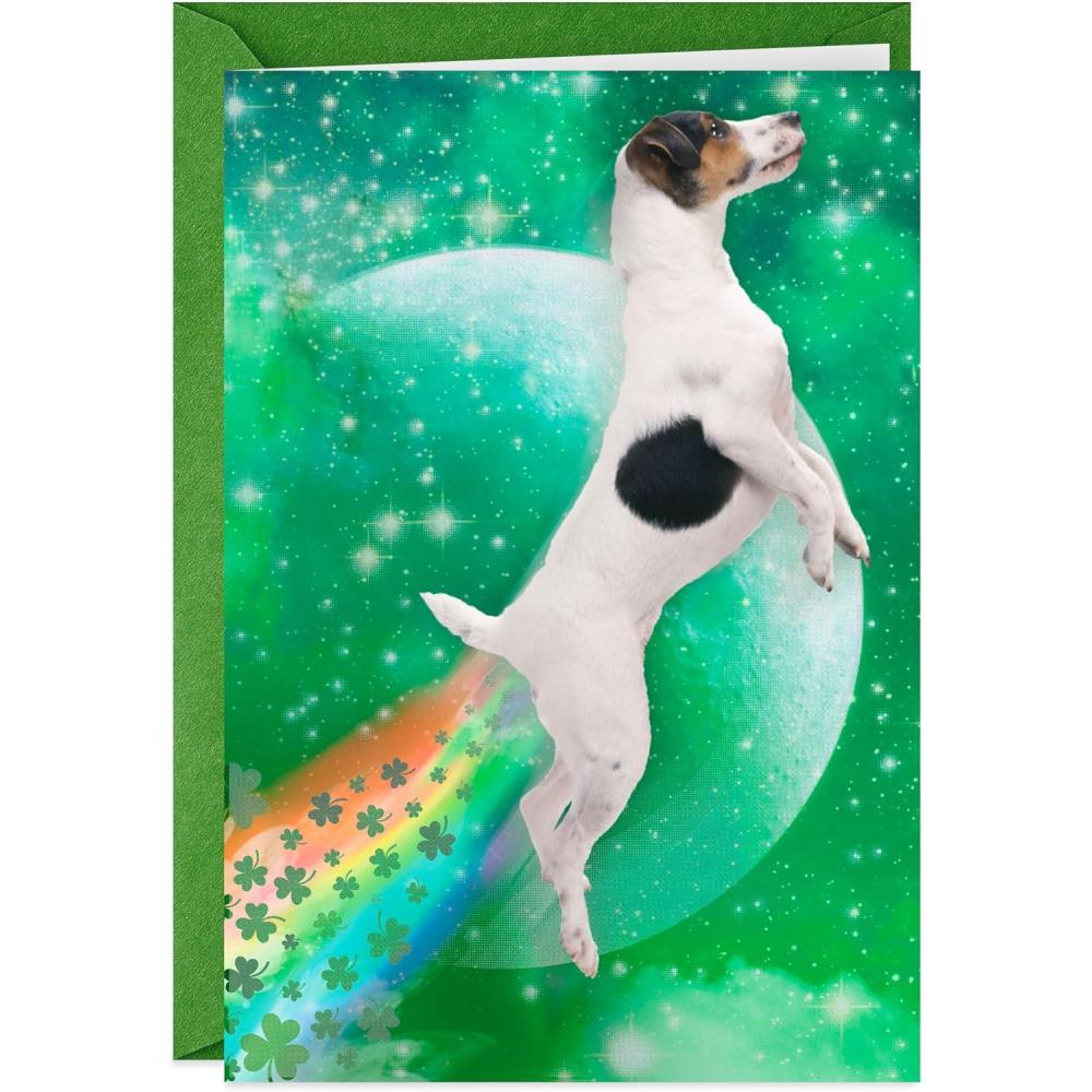 imageHallmark Shoebox Funny Mothers Day Cards The Best Moms Yell Sht Sometimes Pack of 4Dog Tooting Rainbows