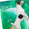 Hallmark Shoebox Funny Mothers Day Cards (The Best Moms Yell Sh*t Sometimes) Pack of 4(Dog Tooting Rainbows)