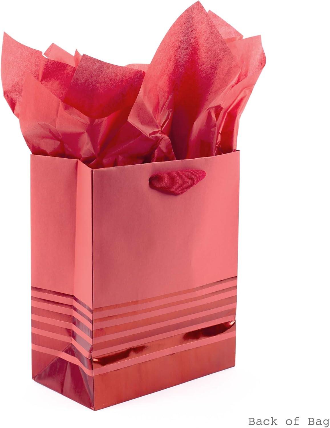 imageHallmark 9quot Medium Gift Bag with Tissue Paper AllStar Dad for Fathers Day Birthdays Valentines DayRed Stripes