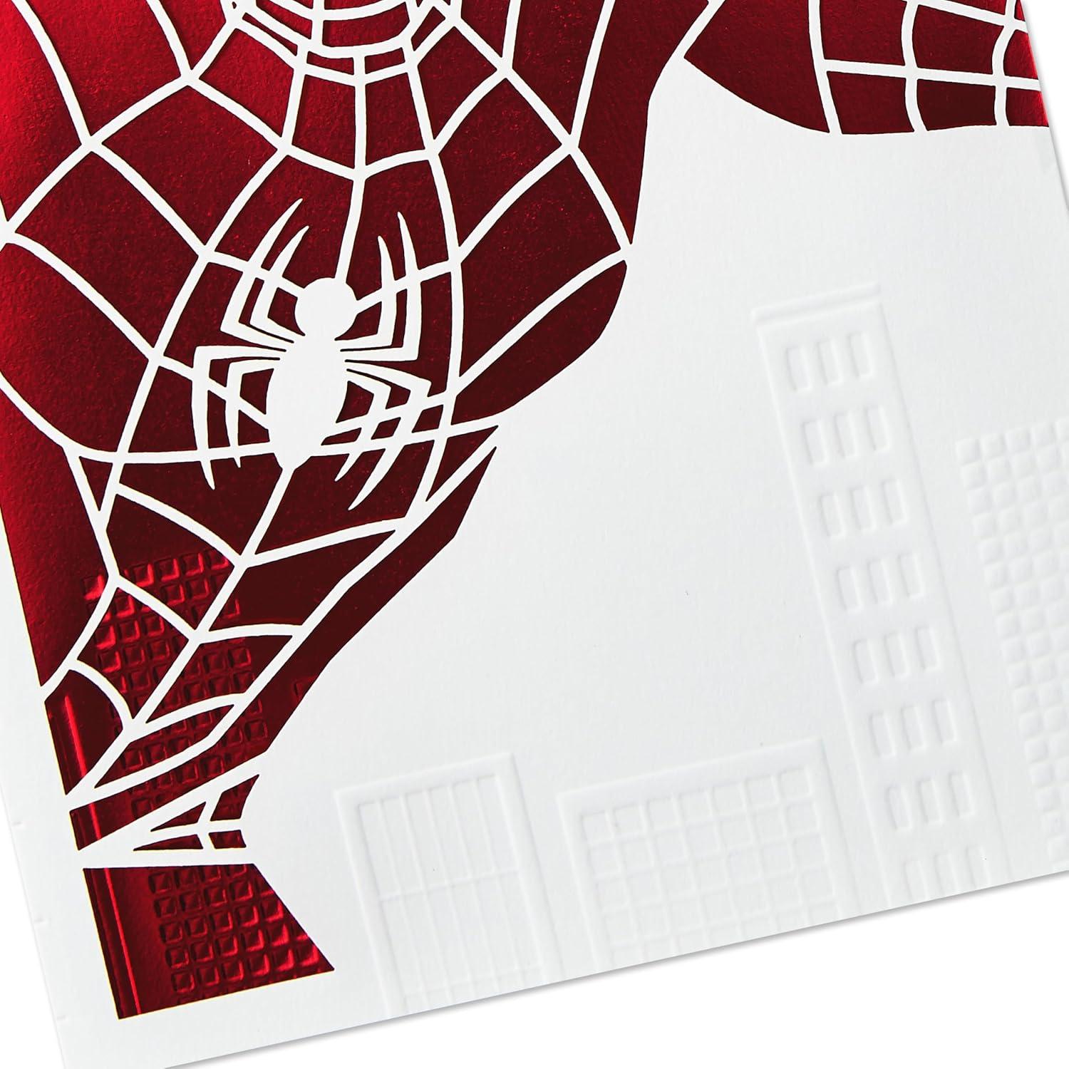 imageHallmark Signature Fathers Day Card for Dad SupermanSpiderman  Amazing Guy