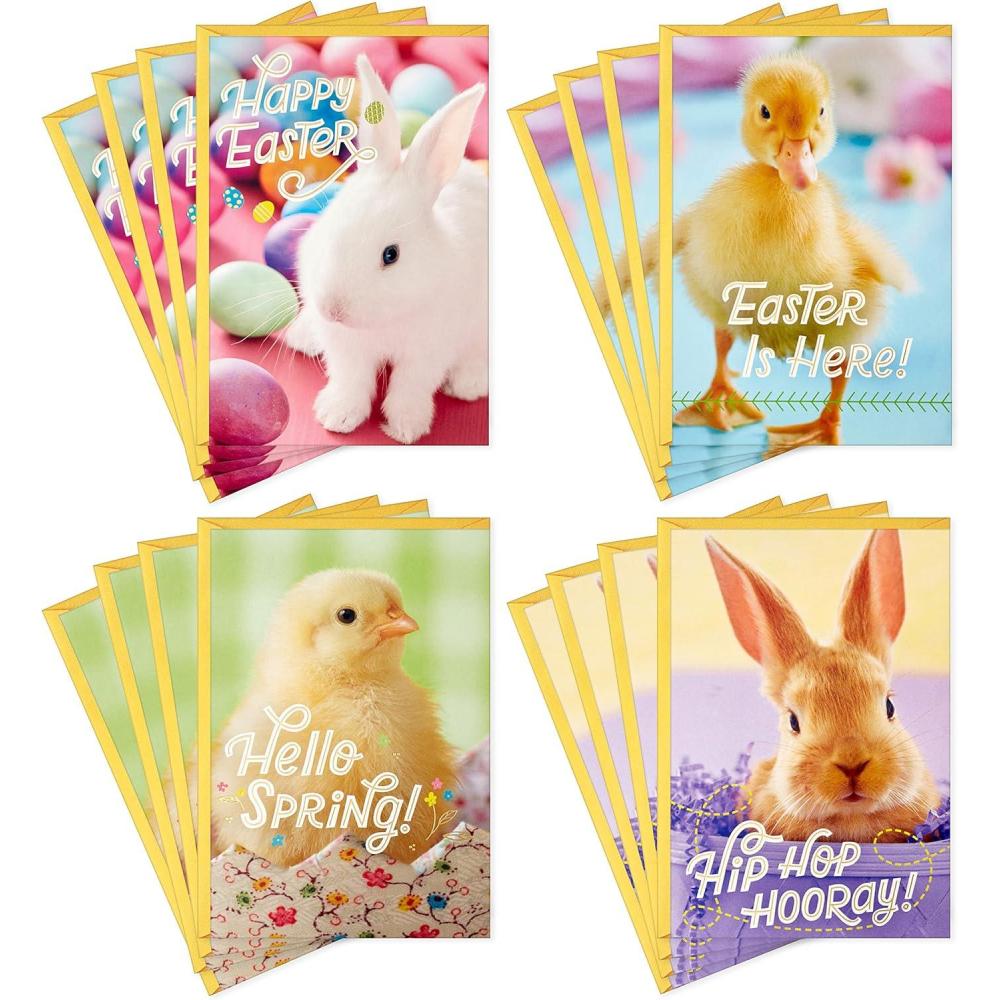 imageHallmark Easter Cards Assortment Bunnies and Chicks 16 Cards with EnvelopesEaster Bunnies and Chicks
