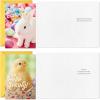 Hallmark Easter Cards Assortment, Bunnies and Chicks (16 Cards with Envelopes)(Easter Bunnies and Chicks)