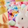 Hallmark Easter Cards Assortment, Bunnies and Chicks (16 Cards with Envelopes)(Easter Bunnies and Chicks)