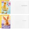 Hallmark Easter Cards Assortment, Bunnies and Chicks (16 Cards with Envelopes)(Easter Bunnies and Chicks)