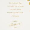 Hallmark Mothers Day Card for Wife (Thank You)(Wife  Incredible Mom)