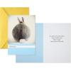 Hallmark Shoebox Funny Easter Cards Assortment, 5 Cards with Envelopes (Cats, Chicken, Snakes, Easter Bunny)(6 Cards  Shoebox)