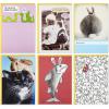 Hallmark Shoebox Funny Easter Cards Assortment, 5 Cards with Envelopes (Cats, Chicken, Snakes, Easter Bunny)(6 Cards  Shoebox)
