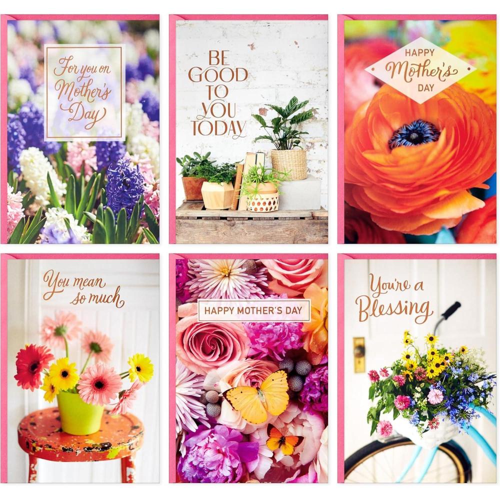 imageHallmark Fathers Day Card Assortment 24 Cards with Envelopes 6 DesignsMothers Day Photography Card Assortment