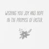 DaySpring Pack of Religious Easter Cards, Alleluia (8 Cards with Envelopes)(Alleluia  8 Religious Cards with Envelopes)