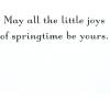 DaySpring Pack of Religious Easter Cards, He is Risen (10 Cards with Envelopes)(Pink   Purple   Yellow)