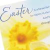 DaySpring Religious Easter Cards Pack, Daffodils (8 Cards with Envelopes)(Daffodils  8 Religious Cards with Envelopes)