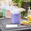 Hallmark 6″ Small Solid Color Gift Bags – Pack of 5 in Red, Green, Blue, Light Pink, Hot Pink for Birthdays, Holidays, Parties or Any Occasion(Light Purple  Pink  Blue  Orange  Green)