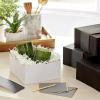 Hallmark 8″ Medium Pearl White Gift Boxes with Wrap Bands (3 Boxes, 3 Wrap Bands) for Easter, Weddings, Bridal Parties, Valentine’s Day, Graduations, Wrapped Treats and Cookies(Black)