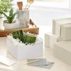 Hallmark 8″ Medium Pearl White Gift Boxes with Wrap Bands (3 Boxes, 3 Wrap Bands) for Easter, Weddings, Bridal Parties, Valentine’s Day, Graduations, Wrapped Treats and Cookies(Antique White)