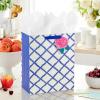 Hallmark 9″ Medium Gift Bag with Tissue Paper (Bright Flowers) for Easter, Birthdays, Bridal Showers, Weddings, Baby Showers, Mother’s Day(Pink Flower on Blue Plaid)
