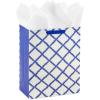 Hallmark 9″ Medium Gift Bag with Tissue Paper (Bright Flowers) for Easter, Birthdays, Bridal Showers, Weddings, Baby Showers, Mother’s Day(Pink Flower on Blue Plaid)