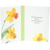 Hallmark Easter Card (Daffodils)(Daffodil Joy)
