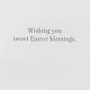 Hallmark Easter Card for Kids (Cute Fuzzy Plush Bunny) (599ETD4046)(Cute Fuzzy Plush Lamb)