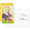 Hallmark Easter Cards Assortment, Fuzzy Wishes (8 Cards with Envelopes)(Easter  Cute Fuzzy Wishes)