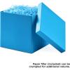 Hallmark Medium Gift Box with Lid and Shredded Paper Fill (Royal Blue 7 inch Box) for Birthdays, Graduations, Anniversaries, Father’s Day, Christmas, Valentine’s Day, All Occasion(Turquoise)