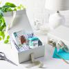 Hallmark Medium Gift Boxes with Bow and Shredded Paper Fill, Pack of 2 (Antique White 8 inch Box) for Weddings, Bridal Showers, Graduations, Birthdays, Bridesmaids Gifts, All Occasion(Antique White)