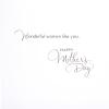 Hallmark Mother’s Day Card for Aunt (Wonderful Woman)(Aunt  Wonderful Woman)