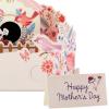 Hallmark Mothers Day Pop Up Card (Bird House)(Pop Up Bird House  Happy Mother’s Day)