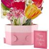 Hallmark Paper Wonder Mother’s Day Pop Up Card (Marjolein Bastin Bouquet)(Marjolein Bastin Bouquet)