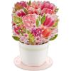 Hallmark Paper Wonder Mothers Day Pop Up Card (Mickey Mouse Flower Cart)(Pop Up  Bouquet of Tulips)