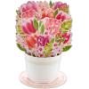 Hallmark Paper Wonder Mothers Day Pop Up Card (Mickey Mouse Flower Cart)(Pop Up  Bouquet of Tulips)