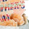 Hallmark Paper Wonder Mother’s Day Pop Up Card (Pink Flowers)(Happy Mother’s Day)