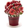 Hallmark Paper Wonder Mother’s Day Pop Up Card (Pink and Gold Flower Bouquet)(Red)