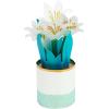 Hallmark Paper Wonder Pop Up Easter Card (Potted Lilies)(Pop Up Potted Lilies)