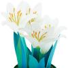 Hallmark Paper Wonder Pop Up Easter Card (Potted Lilies)(Pop Up Potted Lilies)