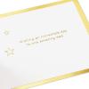 Hallmark Signature Paper Wonder Pop Up Father’s Day Card (#1 Dad Trophy)(Gold  Green and Brown)