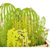 Hallmark Signature Paper Wonder Pop Up Thank You Card, Succulents (Nurses Day Card, Teacher Appreciation, Healthcare Worker Gift) (1299RZH1132)