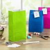 Hallmark Spring Pastel Party Favor and Wrapped Treat Bags, Assorted Designs (30 Ct., 10 Each of Chevron, Dots, Stripes) for Baby Showers, Birthdays, Easter, Mothers Day, Care Packages, May Day(Solid Rainbow)