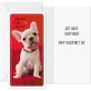 Hallmark Valentines Day Cards Assortment for Kids, Unicorn and Sloth (6 Valentine’s Day Cards with Envelopes)(Puppies and Kittens)