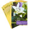 Lily  Blessed Day  8 Cards with Envelopes