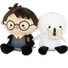 Harry and Hedwig