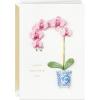 Hallmark Signature Mother’s Day Card (Little Reminder)(Little Reminder)