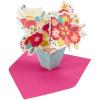 Hallmark VIDA Spanish Mothers Day Pop Up Card (Con Mucho Cariño)(Con Mucho Cariño)
