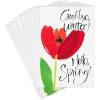Goodbye Winter  Hello Spring