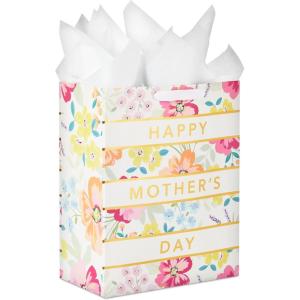 Hallmark 13″ Large Mother’s Day Gift Bag with Tissue Paper (Pastel Floral Stripe with Gold Accents) for Mom, Grandma, Nana, New Mothers(Gold  Stripe)