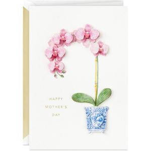 Hallmark Signature Mother’s Day Card (Little Reminder)(Little Reminder)