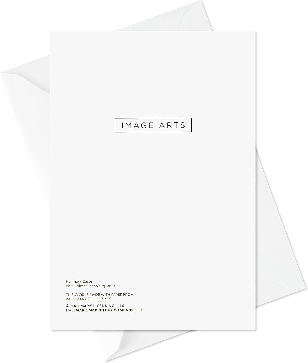 imageBoxed Religious Christmas Cards Assortment Peace on Earth 4 Designs 24 Cards with Envelopes