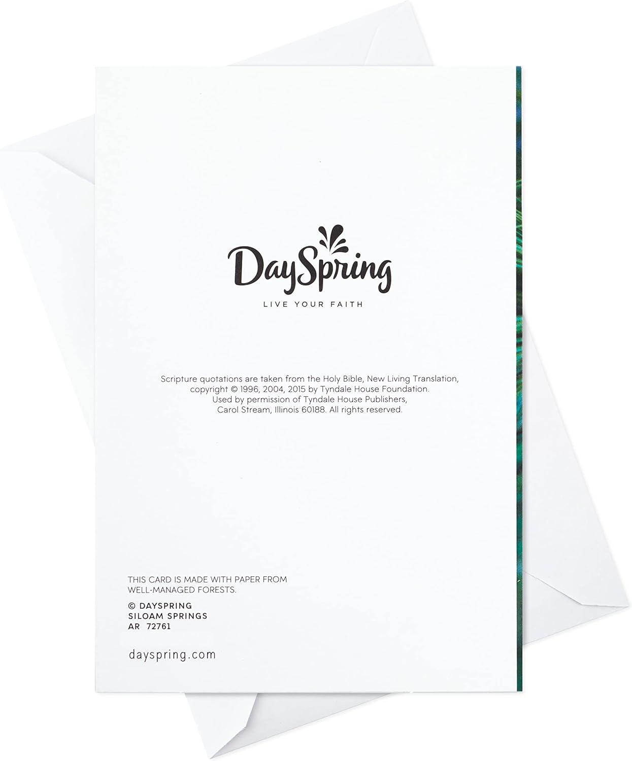 imageDaySpring Religious Christmas Cards God Bless You 6 Cards with EnvelopesJoy to the World  6 Cards with Envelopes