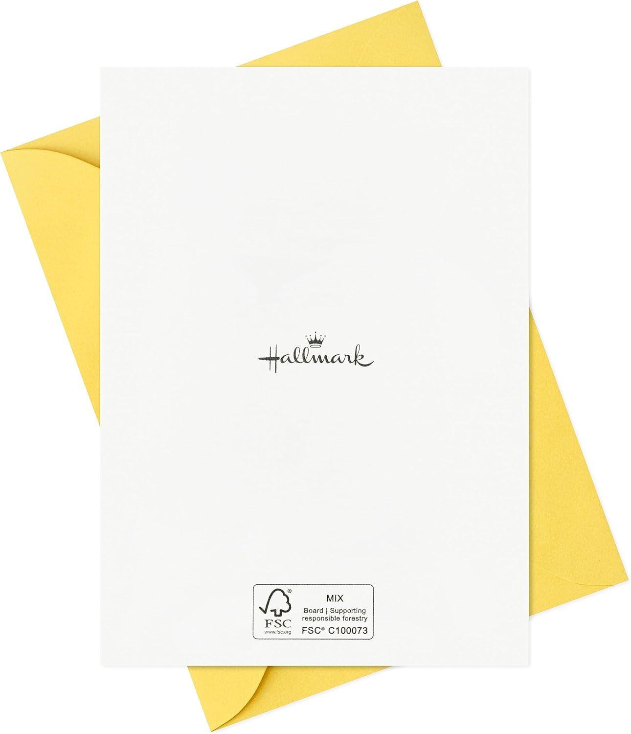 imageHallmark Assorted Kids Birthday Cards 24 Blank Cards with Envelopes Wish Big Best Day Ever