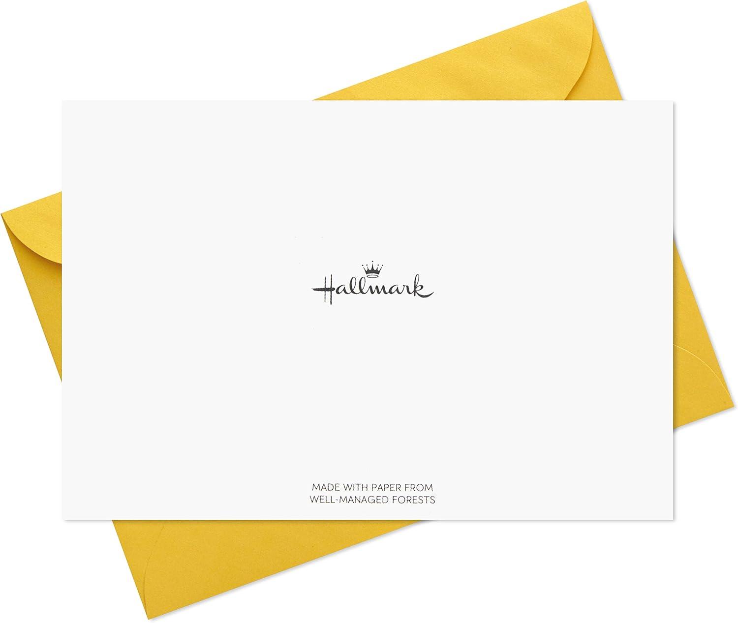 imageHallmark Birthday Cards Assortment 36 Cards with Envelopes PastelsPastels