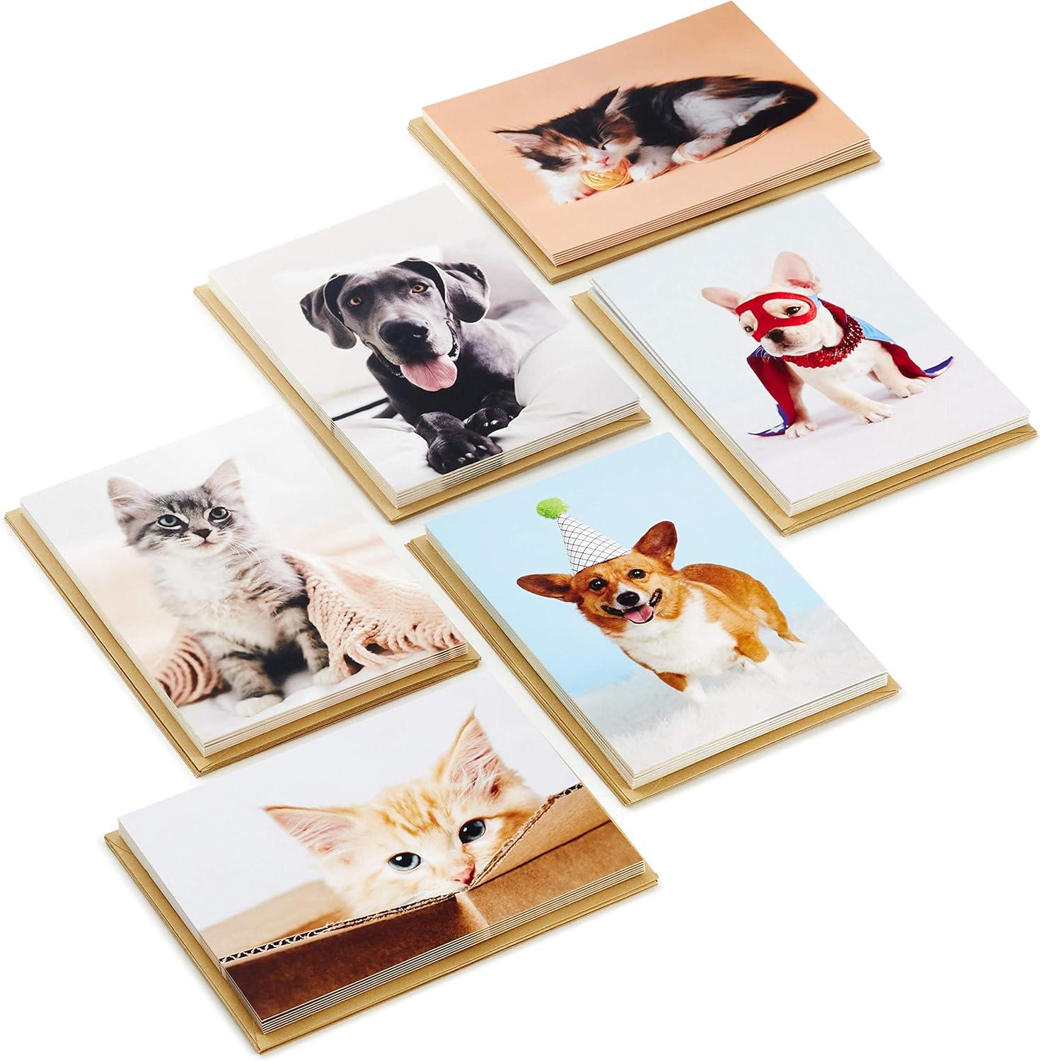 imageHallmark Blank Cards Assortment Dog and Cat Photos 36 Assorted Note Cards with EnvelopesMulticolorAssorted